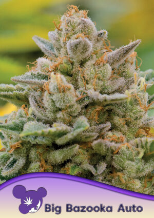 Big Bazooka Auto
