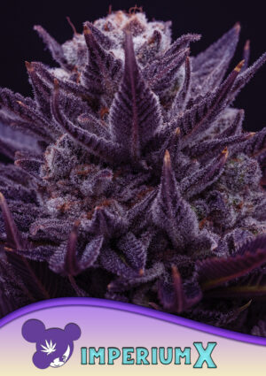 IMPERIUM X®