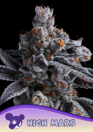 High MARS
