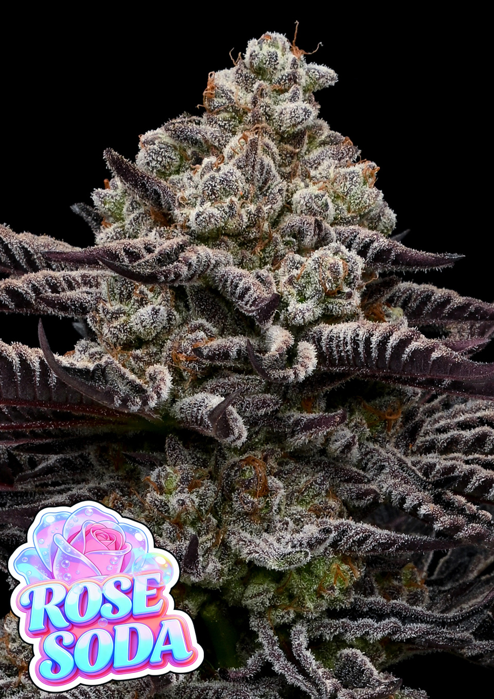 Produkt Palec