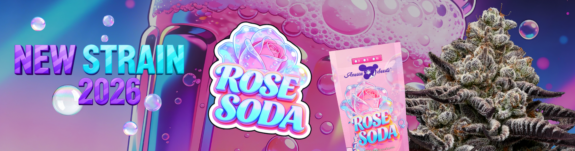 https://anesiaseeds.com/product/rose-soda/