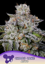 Chaos Cake Auto