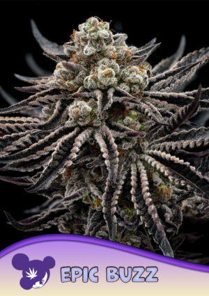 EPIC BUZZ®