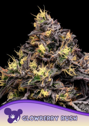 Glowberry Rush