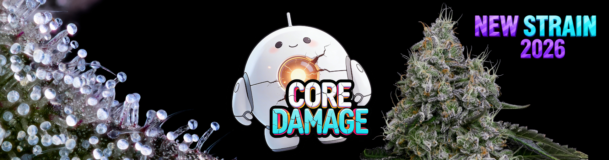 https://anesiaseeds.com/product/core-damage/?cgkit_search_word=core