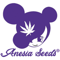 Anesia Seeds hop